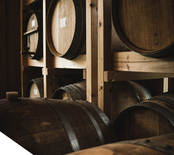 Fasskeller Regale voller Fässer im Fasskeller von Bruckners Bierwelt.