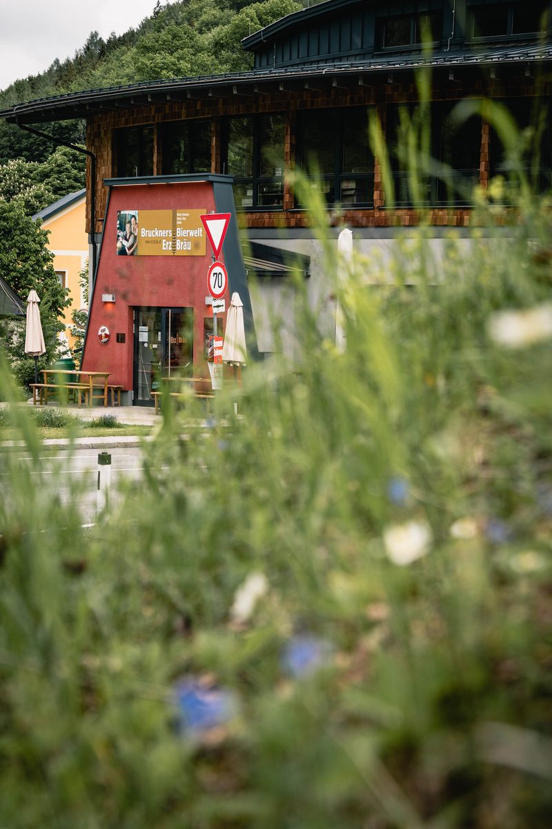 Wiesenblumen vor der Brauerei